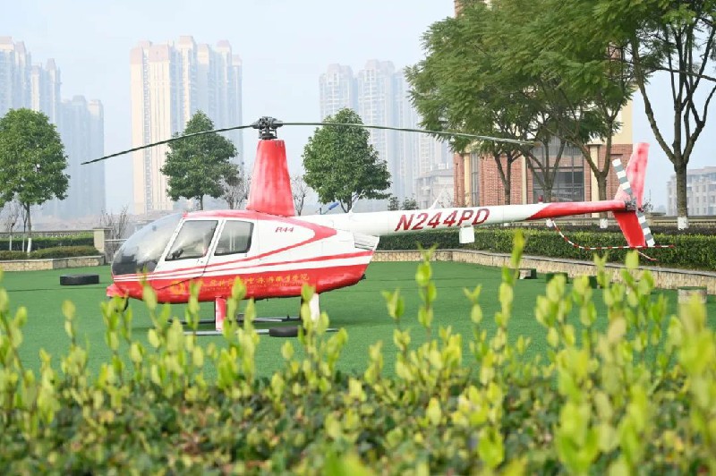 1703212923888520.jpg 12.jpg