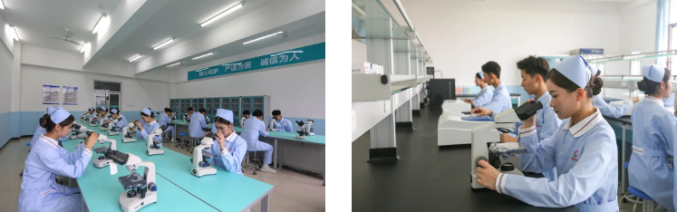 1703213347126590.png 30.png