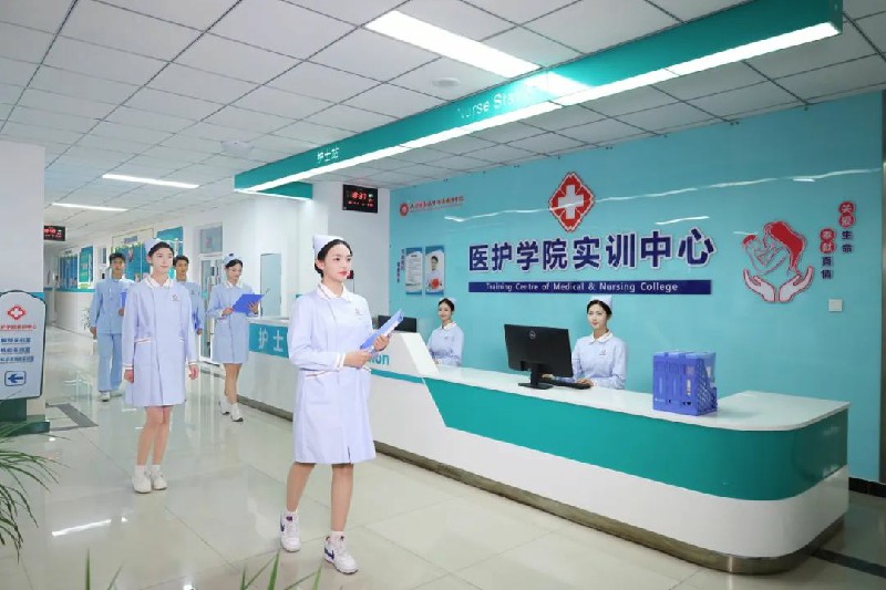 1703213506156076.jpg 29.jpg