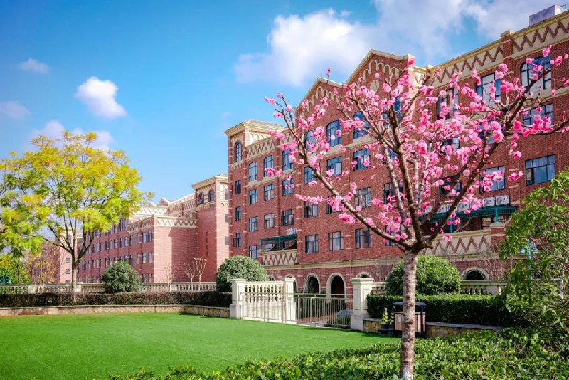 1703213594849877.jpg 35.jpg