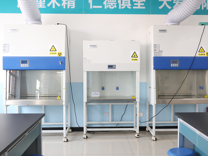 1765455546462763.jpg 免疫2.jpg