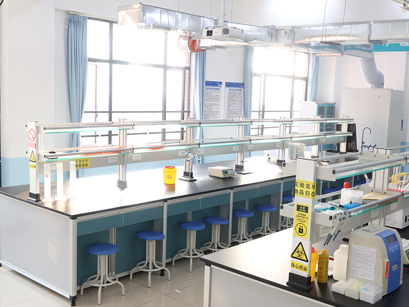 1765455780414223.jpg 分子.jpg