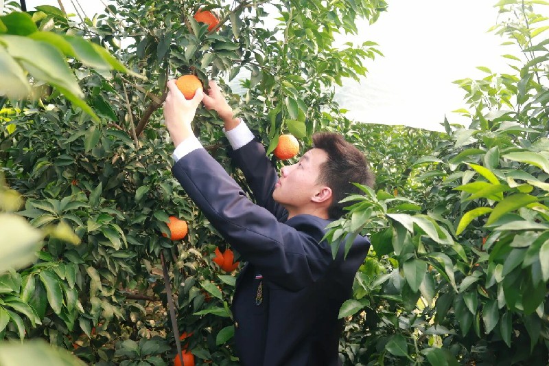 1765472636105612.jpg 微信图片_2025-12-12_010153_544~1.jpg